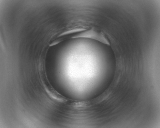 X0000081620088200701291504
