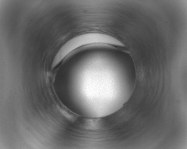 X0000081620089200701291504