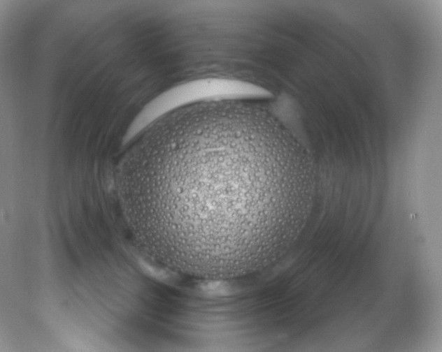 X0000081620091200701291504