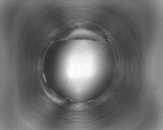 X0000081620092200701291504