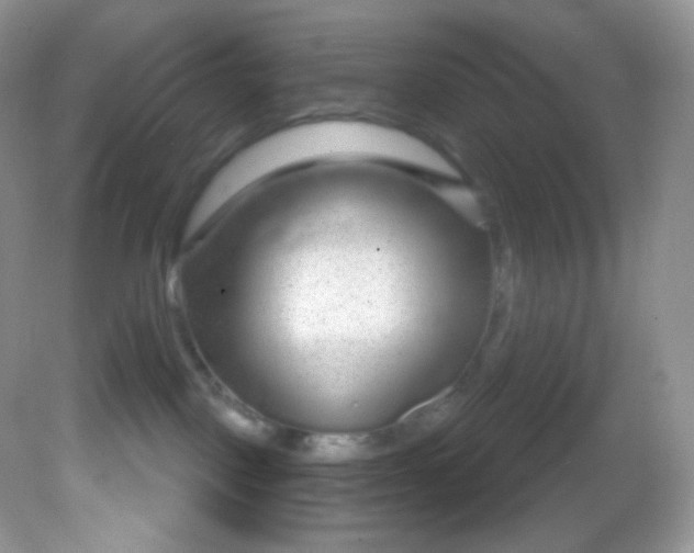 X0000081620093200701291504