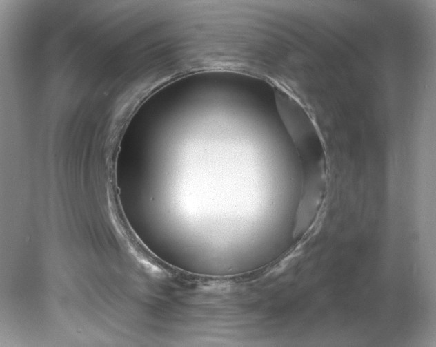 X0000081620097200701291503