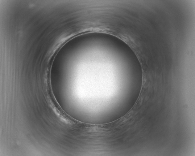 X0000081620098200701291503