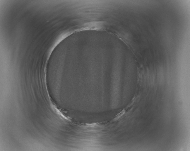 X0000081620100200701291503