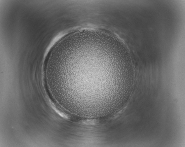 X0000081620102200701291503