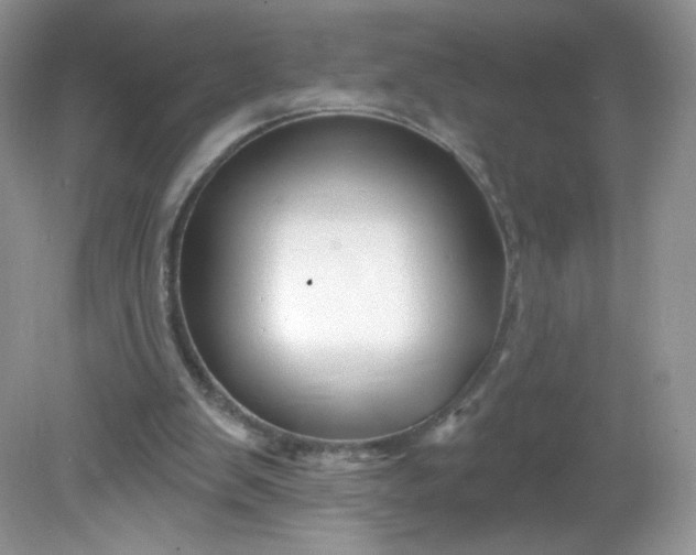 X0000081620103200701291503