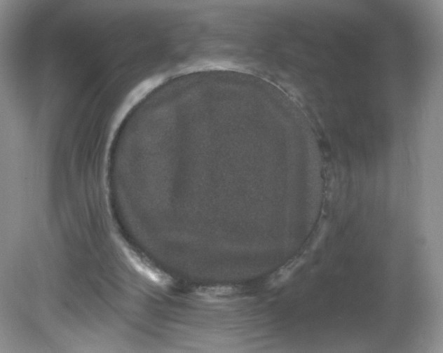 X0000081620104200701291503