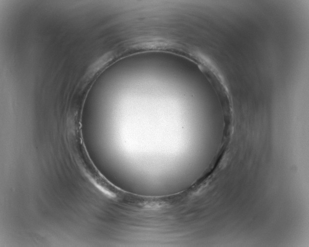 X0000081620105200701291503