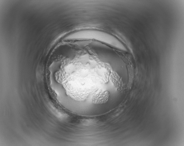 X0000081620107200701291503