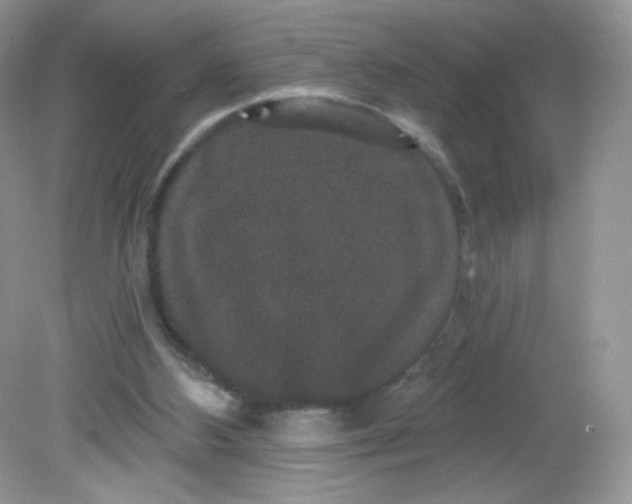 X0000081620108200701291503