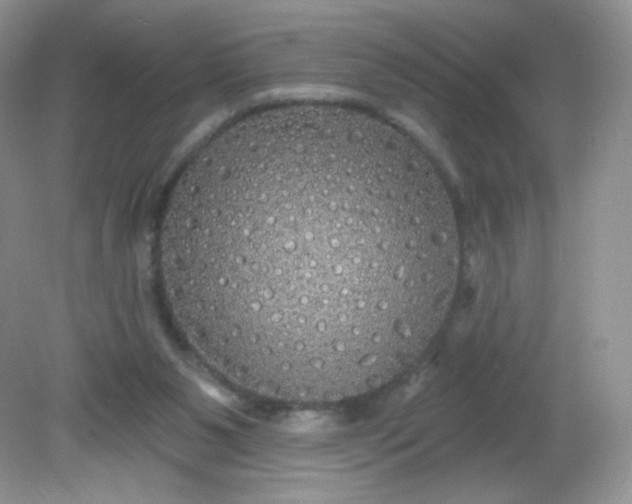 X0000081620111200701291503