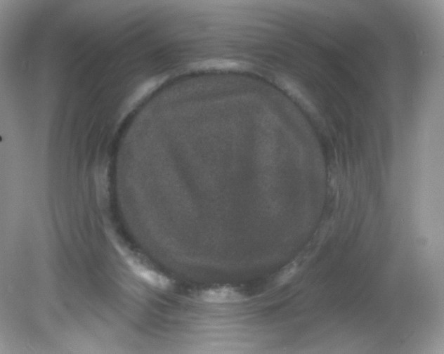 X0000081620112200701291503