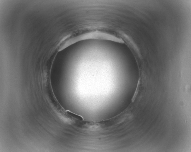 X0000081620113200701291503