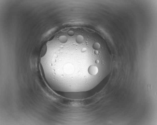 X0000081620115200701291503