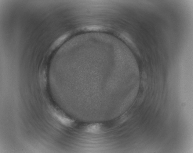 X0000081620116200701291503