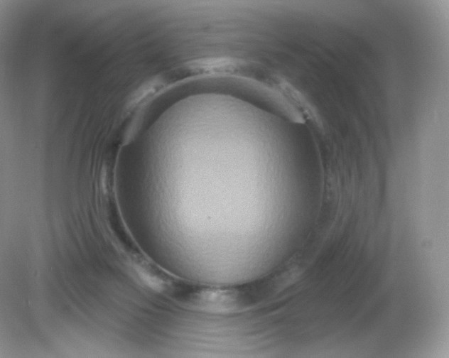 X0000081620117200701291503