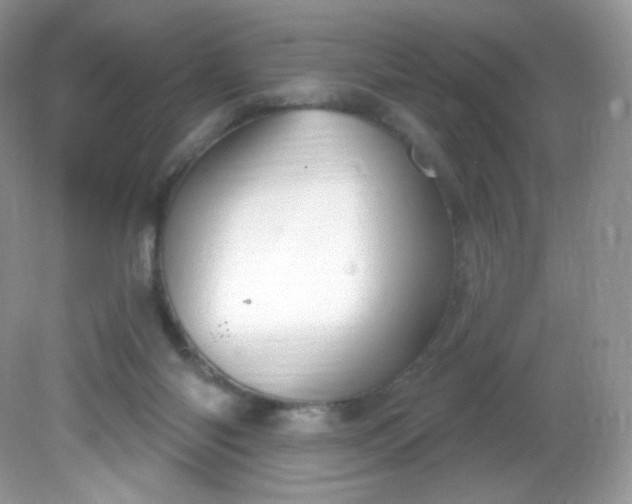 X0000081620118200701291503