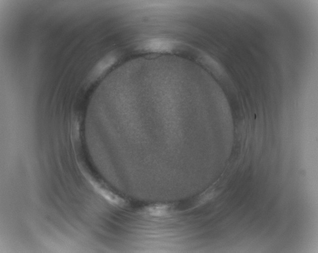 X0000081620120200701291503