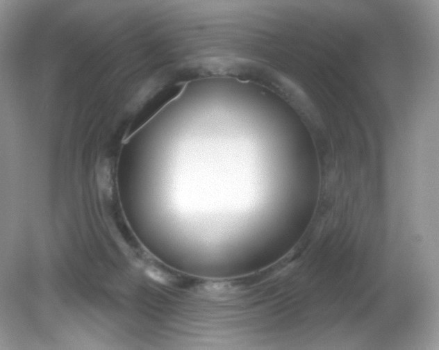 X0000081620121200701291503