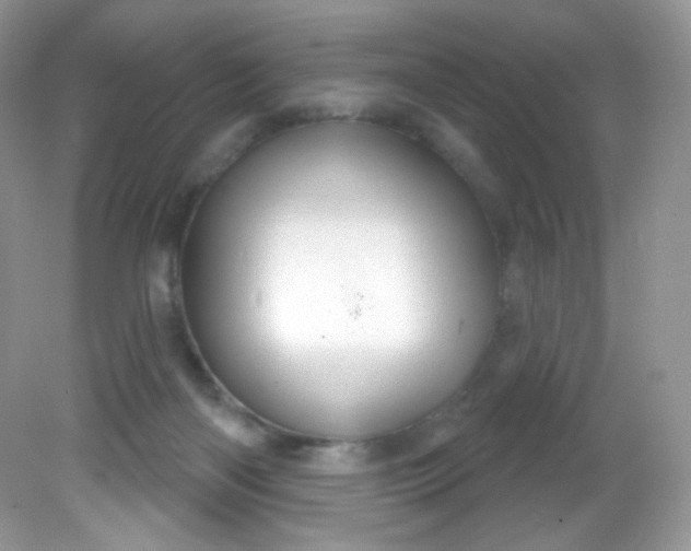 X0000081620122200701291503