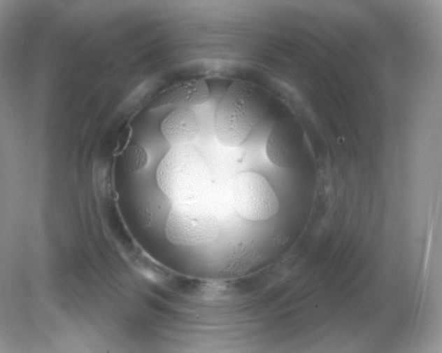 X0000081620123200701291503