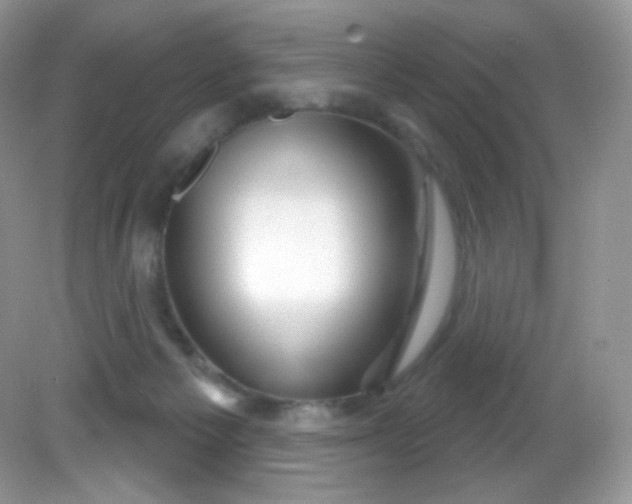 X0000081620125200701291503