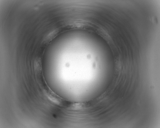 X0000081620126200701291503