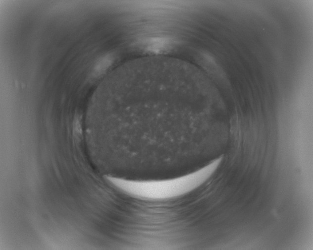 X0000081620127200701291503