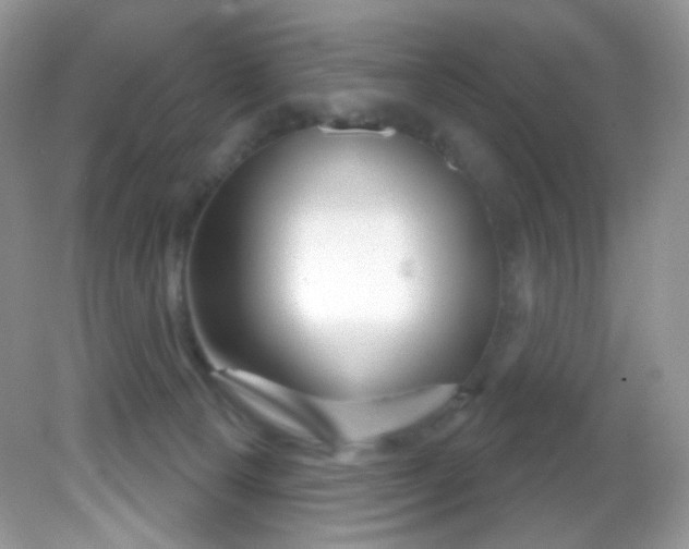 X0000081620129200701291503