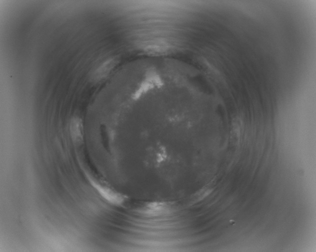 X0000081620130200701291503
