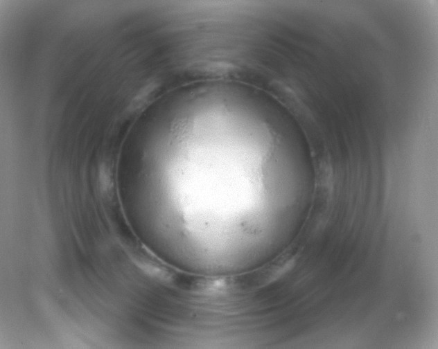 X0000081620131200701291503