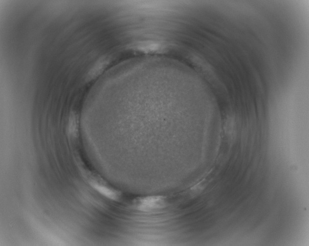 X0000081620132200701291503