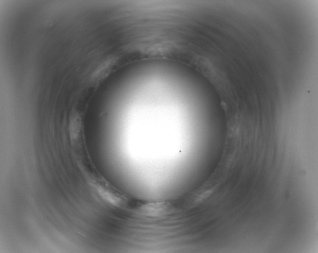 X0000081620133200701291503