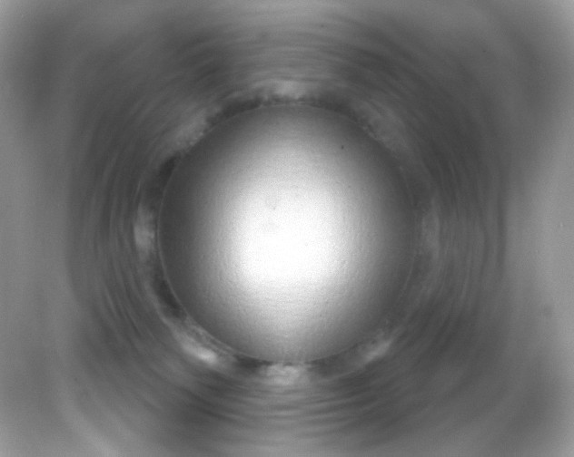 X0000081620135200701291503