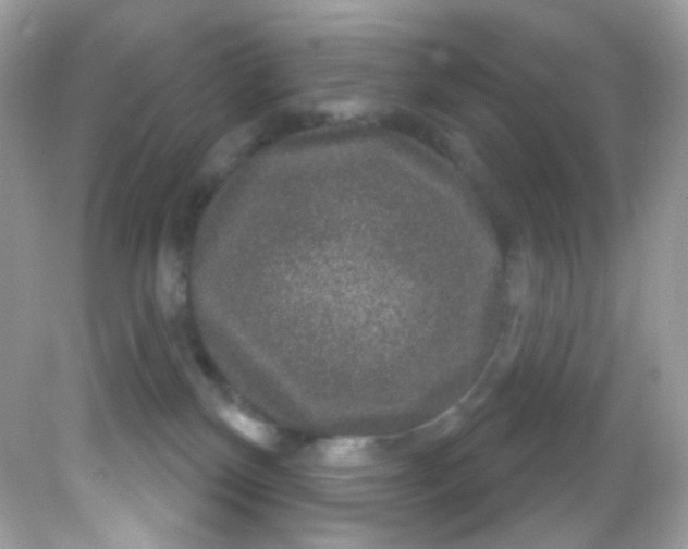 X0000081620136200701291502