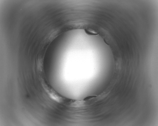 X0000081620138200701291502