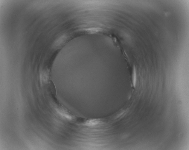 X0000081620139200701291502