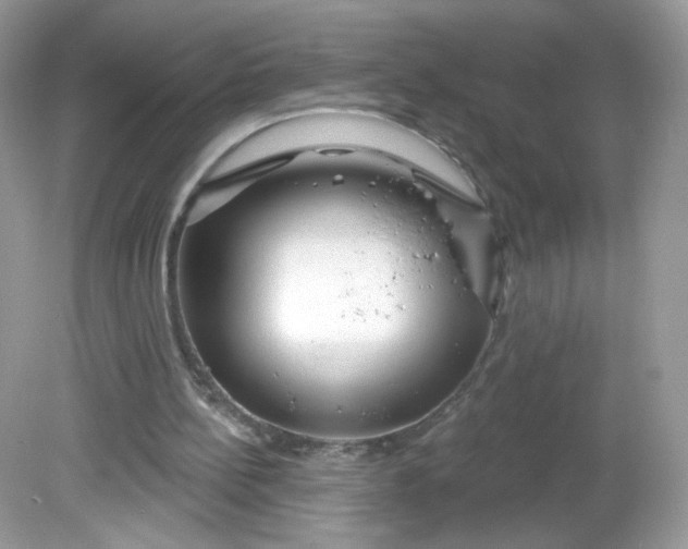 X0000081620148200701291502