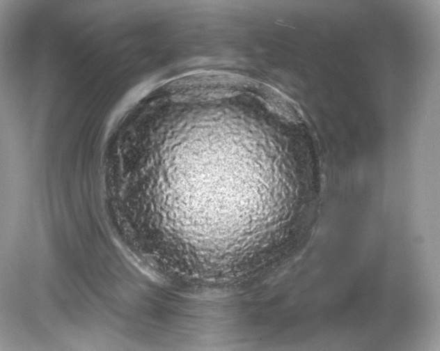 X0000081620149200701291502