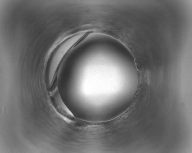 X0000081620150200701291502
