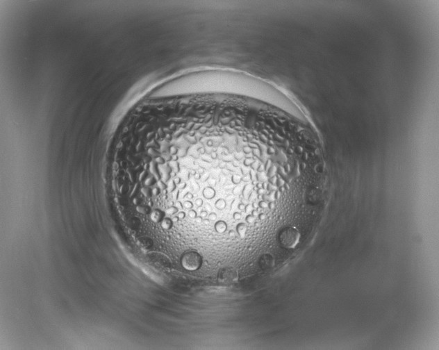 X0000081620151200701291502