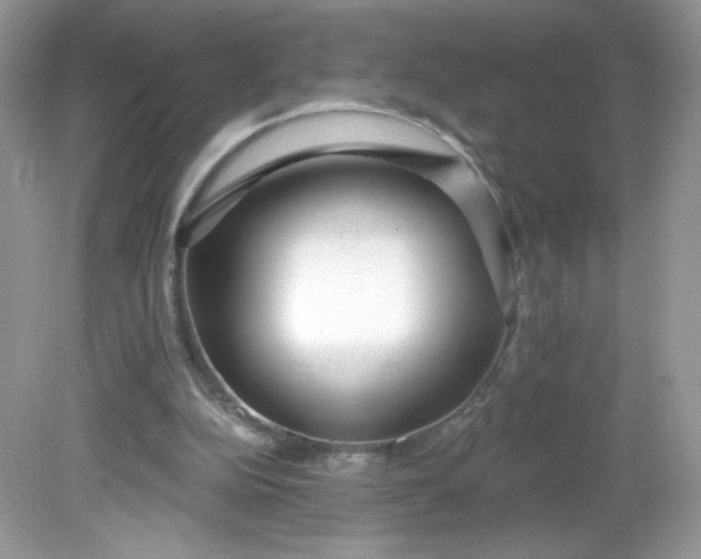 X0000081620152200701291502