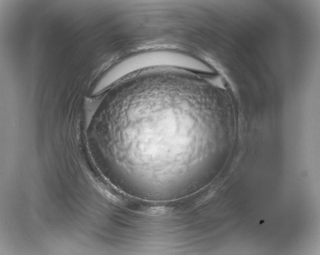 X0000081620153200701291502