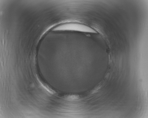 X0000081620156200701291502