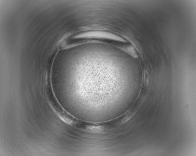 X0000081620157200701291502