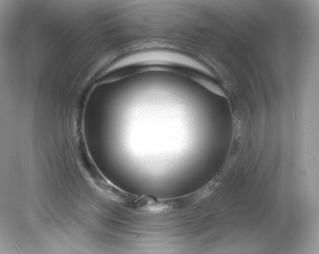X0000081620158200701291502