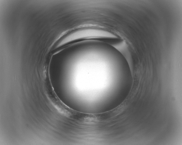X0000081620160200701291502