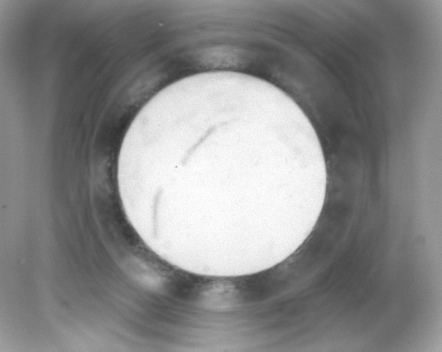 X0000081620162200701291502