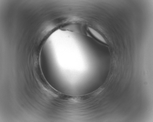 X0000081620164200701291502