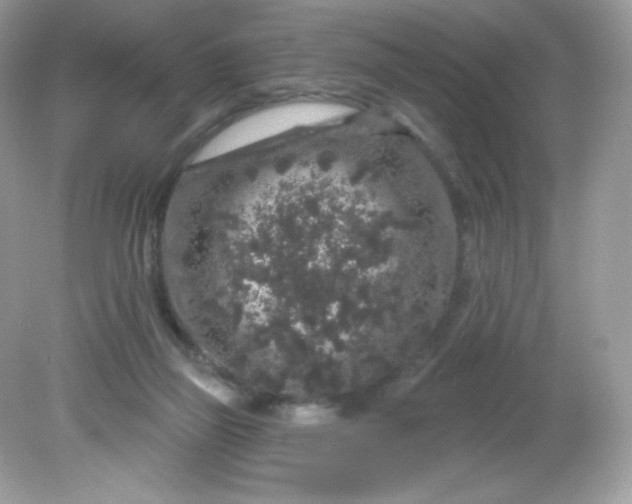 X0000081620165200701291502